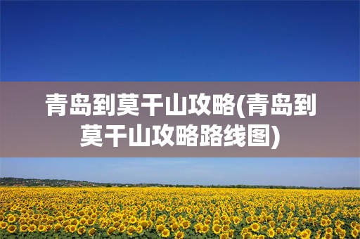 青岛到莫干山攻略(青岛到莫干山攻略路线图)