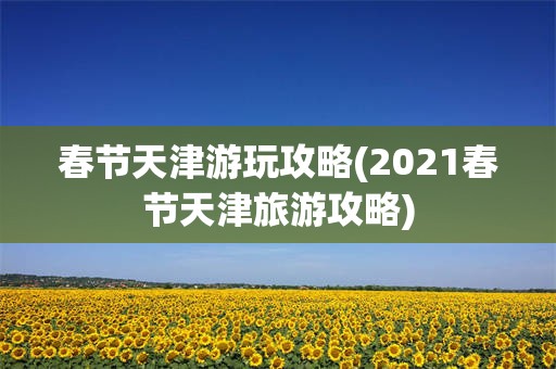 春节天津游玩攻略(2021春节天津旅游攻略)