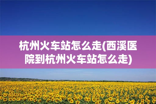 杭州火车站怎么走(西溪医院到杭州火车站怎么走)