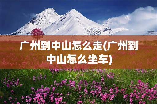 广州到中山怎么走(广州到中山怎么坐车)