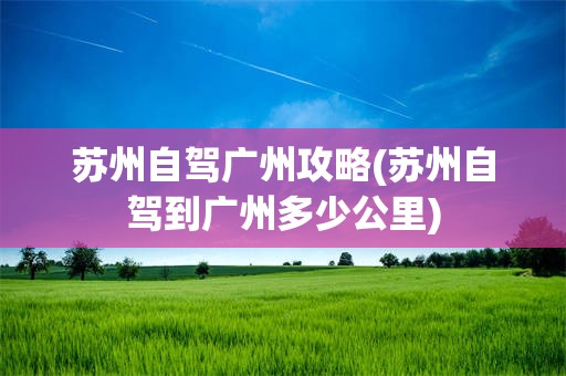 苏州自驾广州攻略(苏州自驾到广州多少公里)