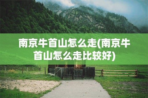 南京牛首山怎么走(南京牛首山怎么走比较好)