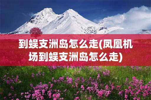 到蜈支洲岛怎么走(凤凰机场到蜈支洲岛怎么走)