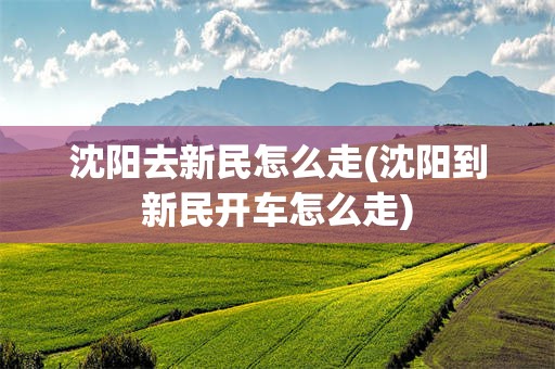 沈阳去新民怎么走(沈阳到新民开车怎么走)