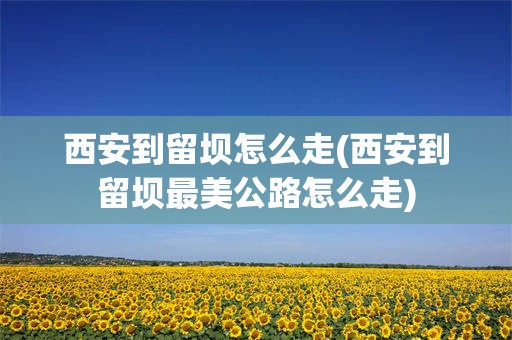 西安到留坝怎么走(西安到留坝最美公路怎么走)