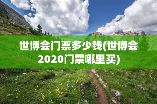 世博会门票多少钱(世博会2020门票哪里买)