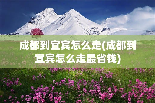 成都到宜宾怎么走(成都到宜宾怎么走最省钱)