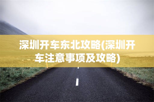 深圳开车东北攻略(深圳开车注意事项及攻略)