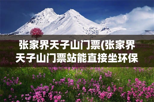 张家界天子山门票(张家界天子山门票站能直接坐环保车上山顶吗)