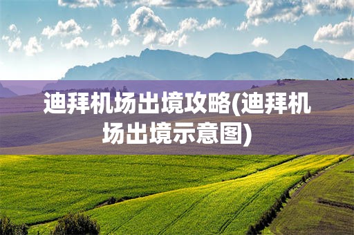 迪拜机场出境攻略(迪拜机场出境示意图)