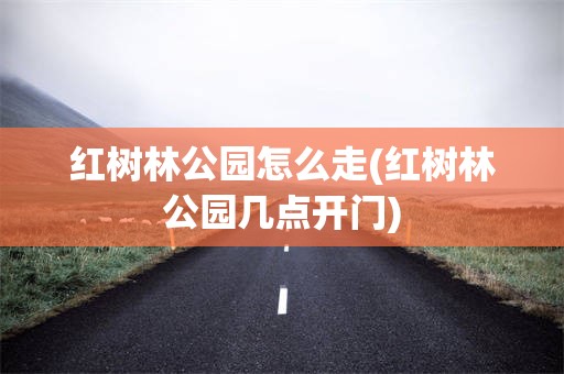 红树林公园怎么走(红树林公园几点开门)