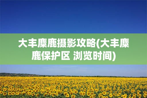 大丰麋鹿摄影攻略(大丰麋鹿保护区 浏览时间)