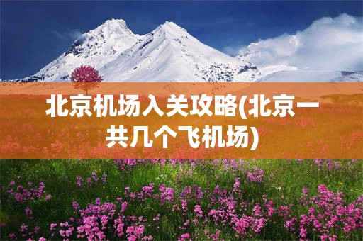 北京机场入关攻略(北京一共几个飞机场)