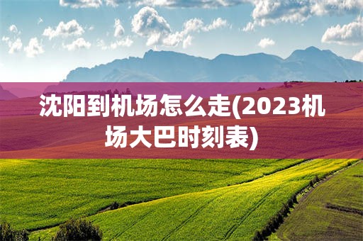 沈阳到机场怎么走(2023机场大巴时刻表)