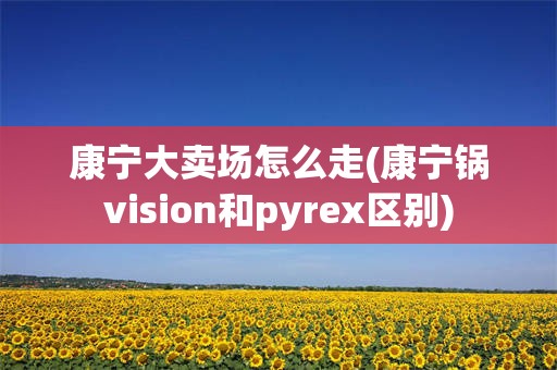 康宁大卖场怎么走(康宁锅vision和pyrex区别)