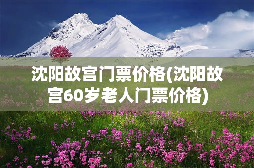 沈阳故宫门票价格(沈阳故宫60岁老人门票价格)