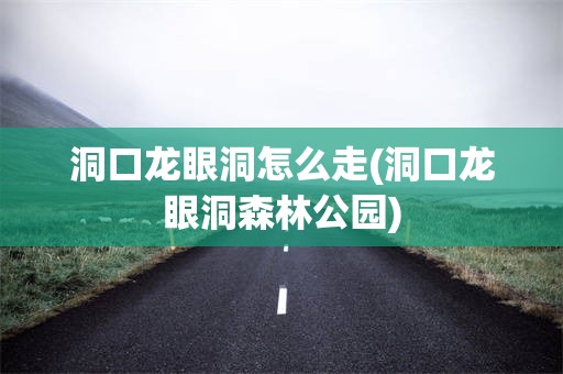 洞口龙眼洞怎么走(洞口龙眼洞森林公园)