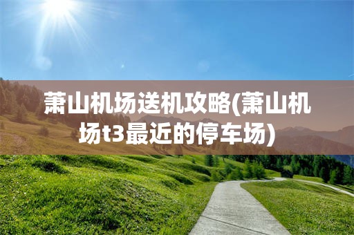 萧山机场送机攻略(萧山机场t3最近的停车场)