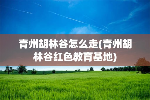 青州胡林谷怎么走(青州胡林谷红色教育基地)