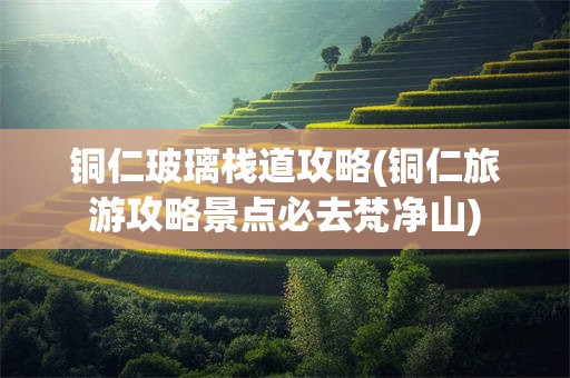 铜仁玻璃栈道攻略(铜仁旅游攻略景点必去梵净山)