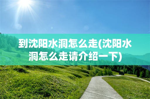 到沈阳水洞怎么走(沈阳水洞怎么走请介绍一下)