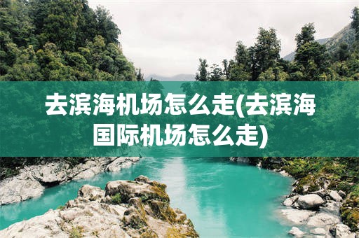 去滨海机场怎么走(去滨海国际机场怎么走)