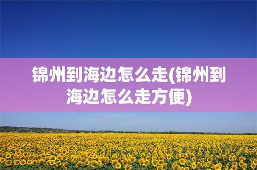 锦州到海边怎么走(锦州到海边怎么走方便)