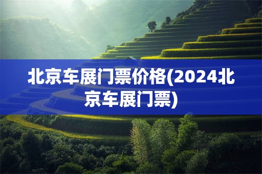 北京车展门票价格(2024北京车展门票)