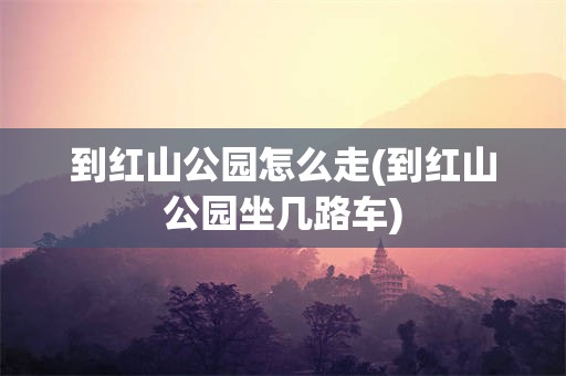 到红山公园怎么走(到红山公园坐几路车)