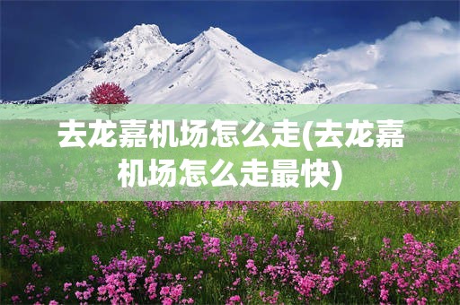 去龙嘉机场怎么走(去龙嘉机场怎么走最快)