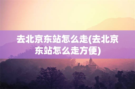 去北京东站怎么走(去北京东站怎么走方便)