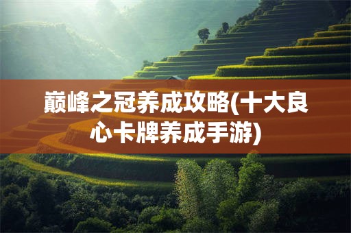 巅峰之冠养成攻略(十大良心卡牌养成手游)