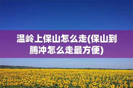 温岭上保山怎么走(保山到腾冲怎么走最方便)