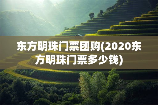 东方明珠门票团购(2020东方明珠门票多少钱)