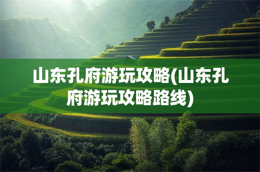 山东孔府游玩攻略(山东孔府游玩攻略路线)