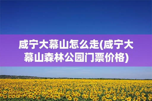 咸宁大幕山怎么走(咸宁大幕山森林公园门票价格)