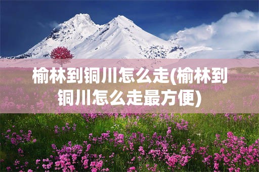 榆林到铜川怎么走(榆林到铜川怎么走最方便)