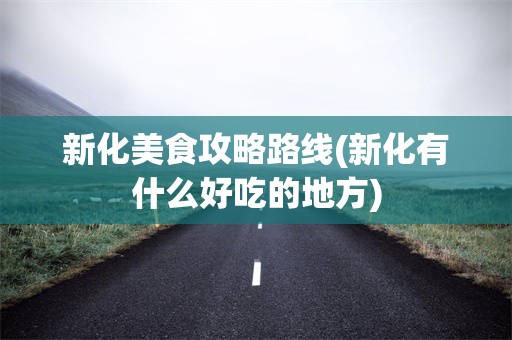 新化美食攻略路线(新化有什么好吃的地方)