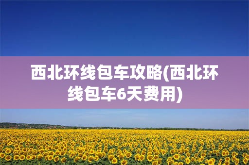 西北环线包车攻略(西北环线包车6天费用)