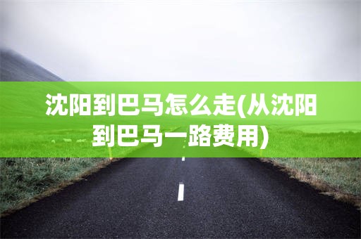 沈阳到巴马怎么走(从沈阳到巴马一路费用)