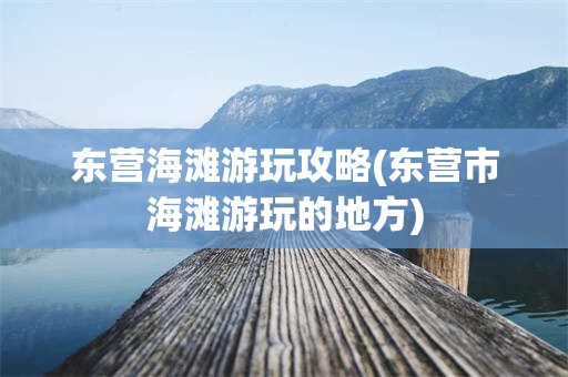 东营海滩游玩攻略(东营市海滩游玩的地方)