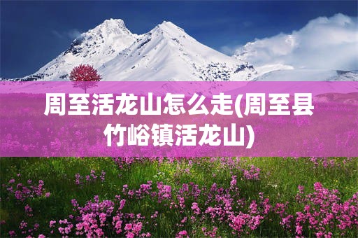 周至活龙山怎么走(周至县竹峪镇活龙山)