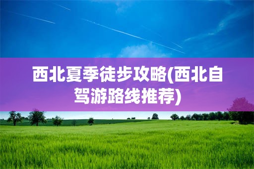 西北夏季徒步攻略(西北自驾游路线推荐)