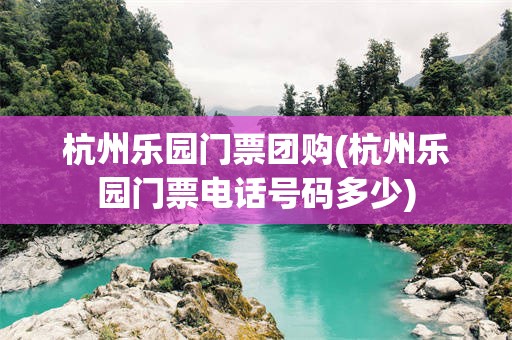 杭州乐园门票团购(杭州乐园门票电话号码多少)