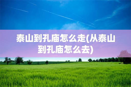 泰山到孔庙怎么走(从泰山到孔庙怎么去)