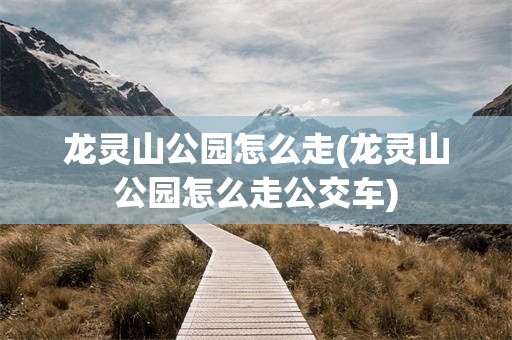 龙灵山公园怎么走(龙灵山公园怎么走公交车)