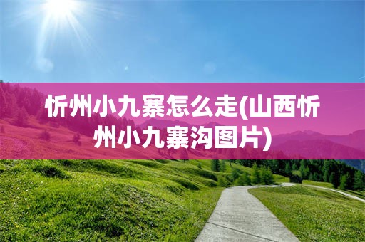 忻州小九寨怎么走(山西忻州小九寨沟图片)