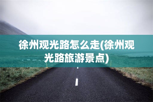 徐州观光路怎么走(徐州观光路旅游景点)