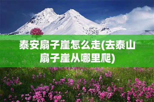 泰安扇子崖怎么走(去泰山扇子崖从哪里爬)