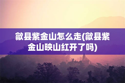 歙县紫金山怎么走(歙县紫金山映山红开了吗)